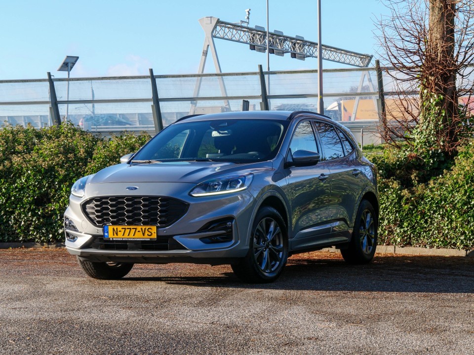 43678386 11 43678386 11