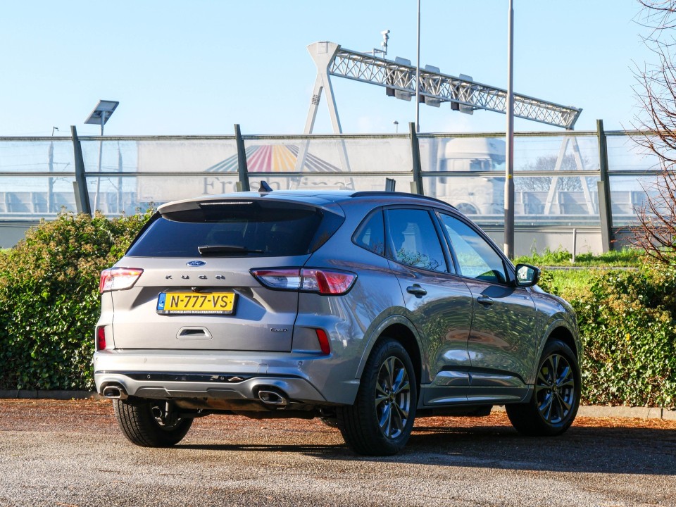 43678386 12 43678386 12